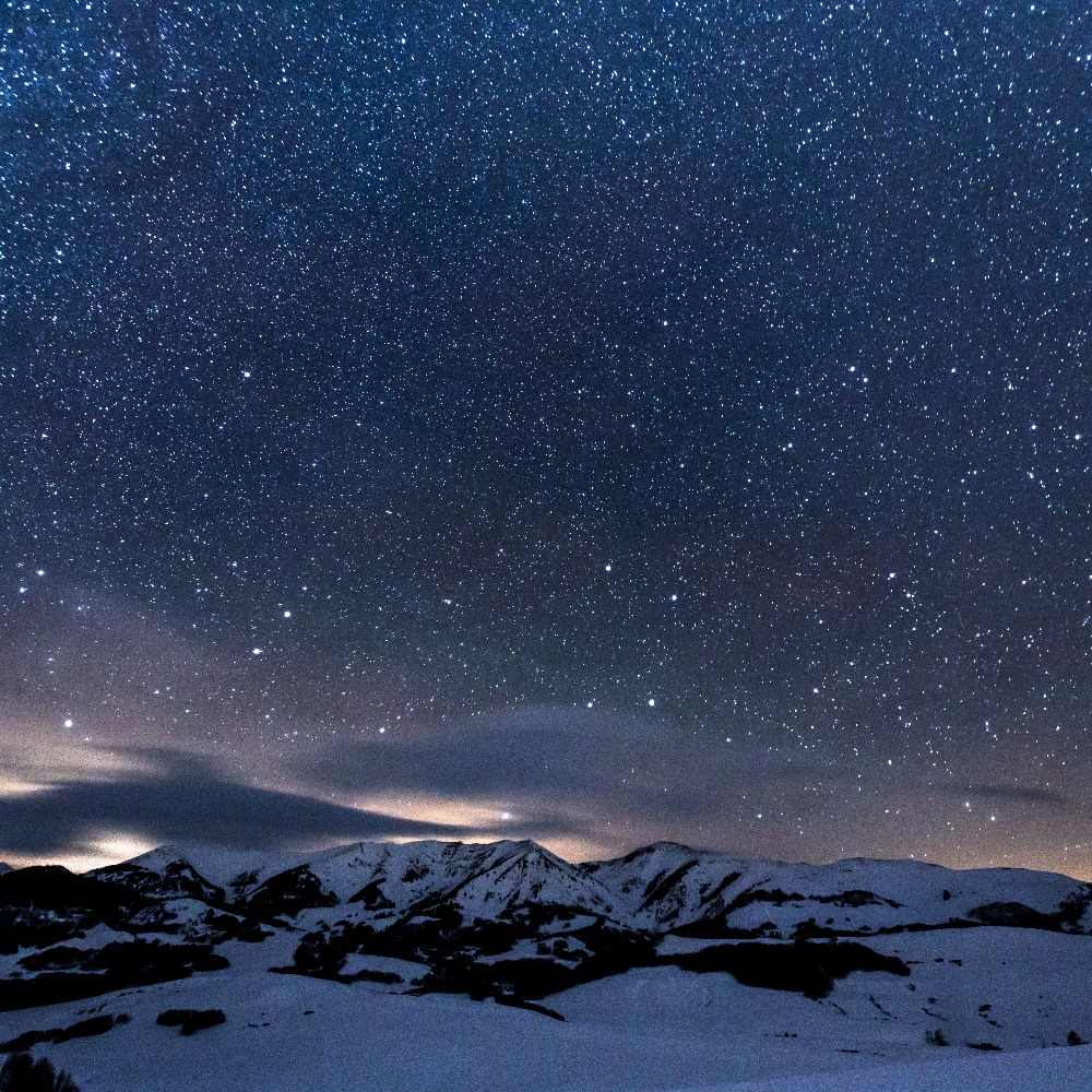 Meet your Posher, Whosacatimacat